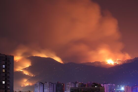 China Wildfire Provokes Public Anger as 19 Emergency Workers Die