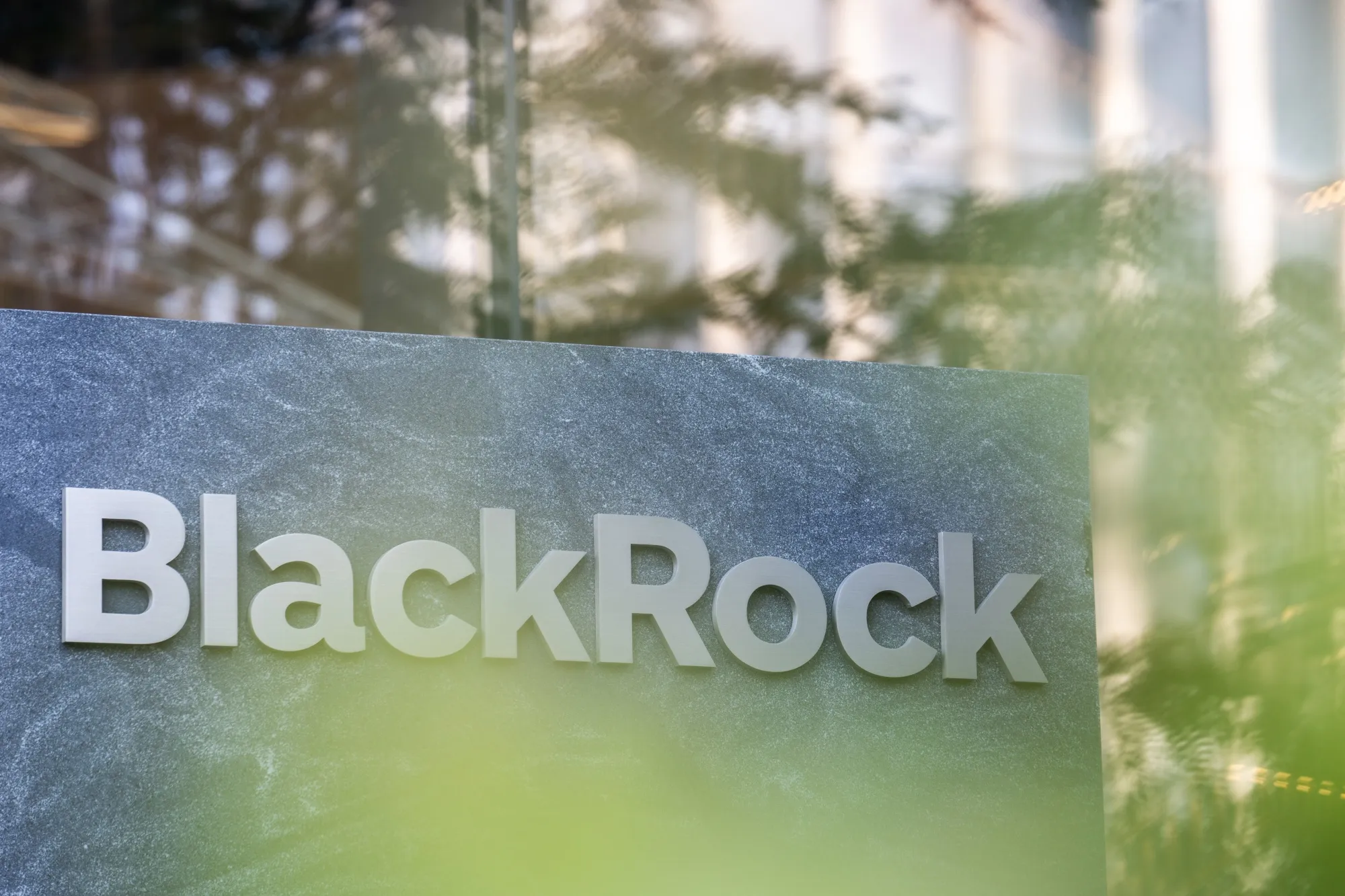 BlackRock, Partners Team Up for Private Markets Retail Offering - Bloomberg