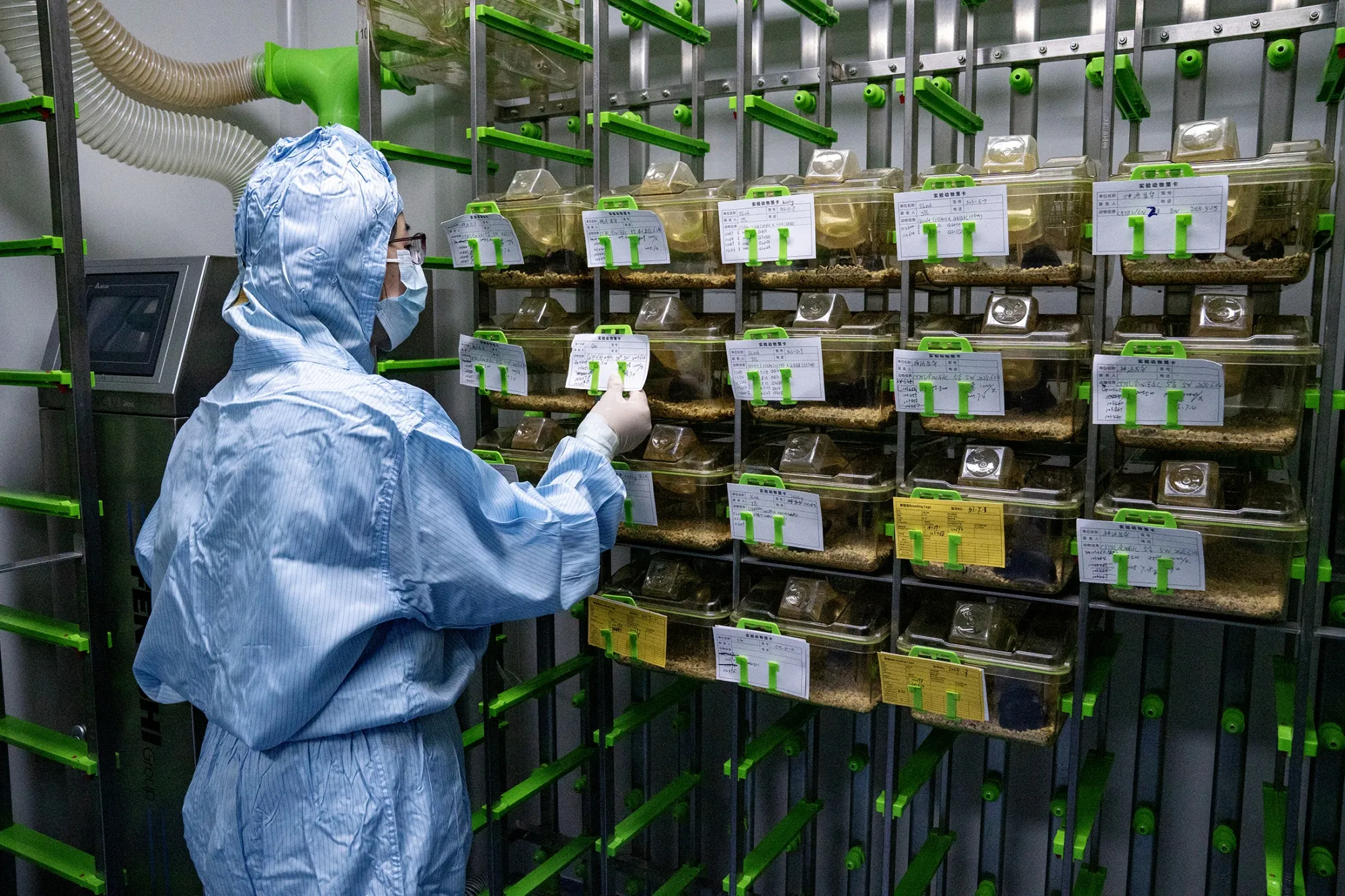 Sineugene Laboratory in Beijing