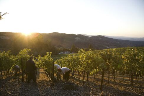 Napa Valley