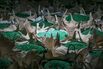 Operations At Recycling Facilities As China's Ban On Waste Products Causes Trash Pile-ups