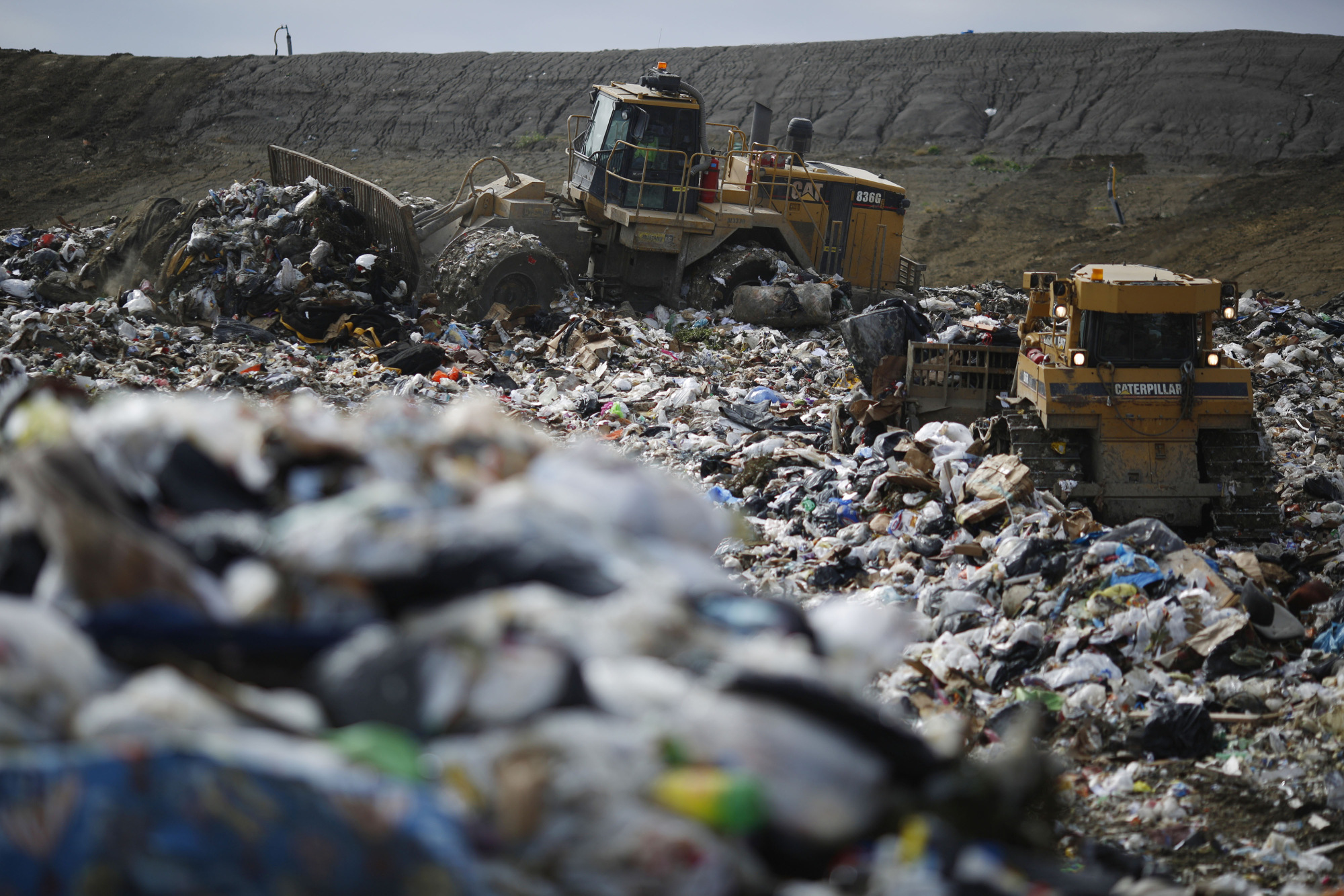 Companies pioneer recycling before regulations take effect