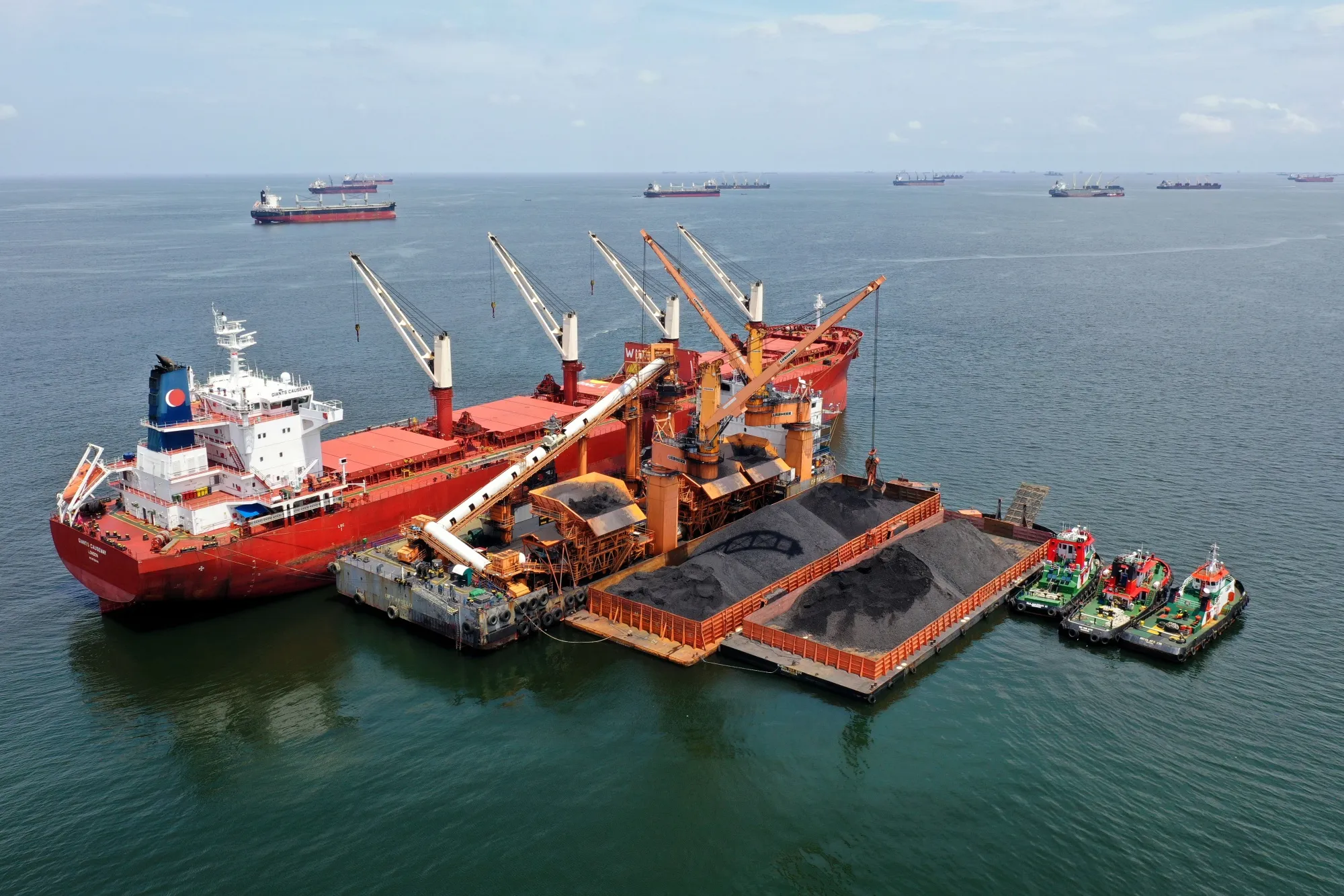 Transportation of Coal in Indonesia