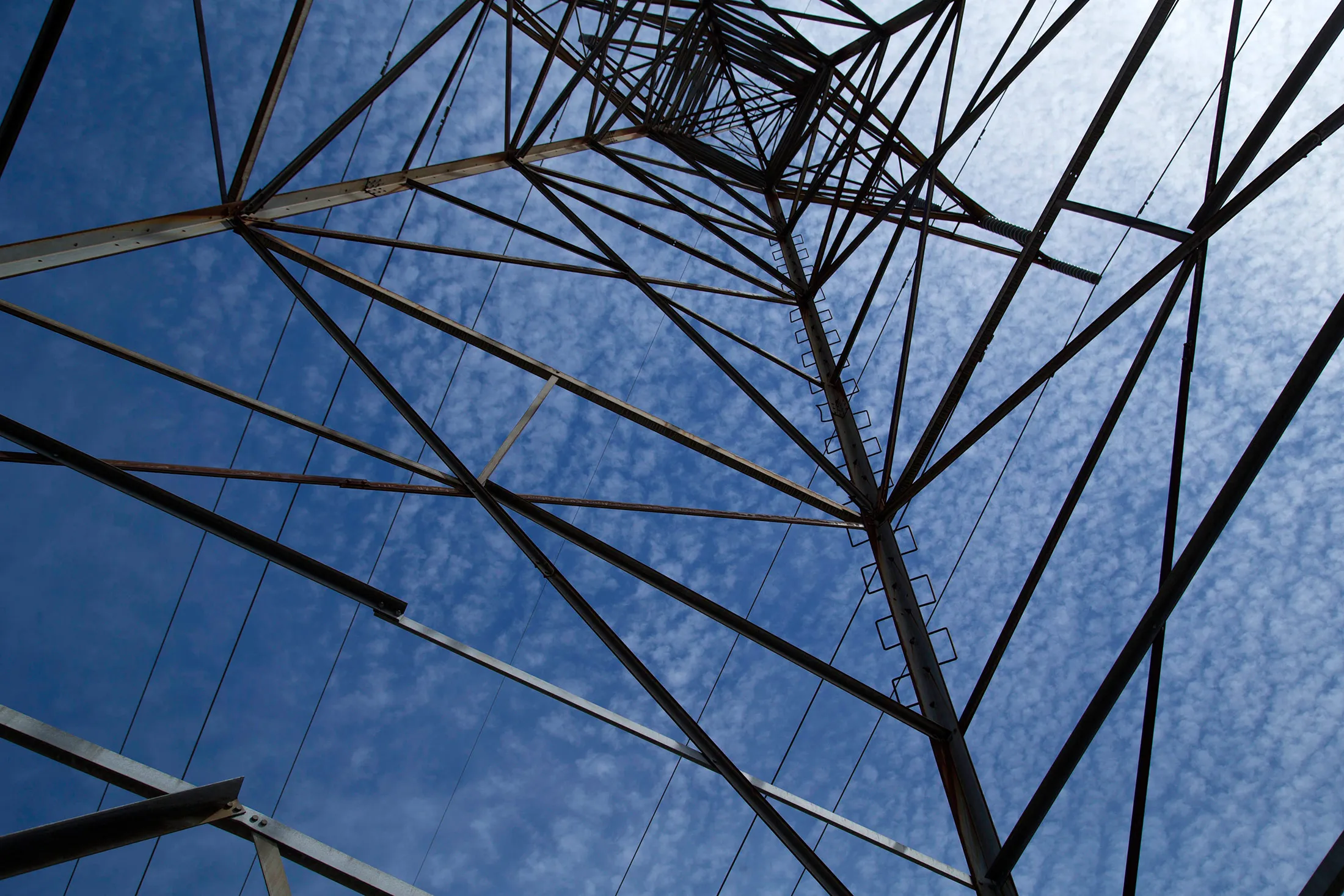 Hydro transmission lines in a hydro corridor running through Mississauga and Milton.
