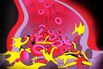 Big Pharma Is Chasing a $55 Billion Prize of Safer Blood Thinners