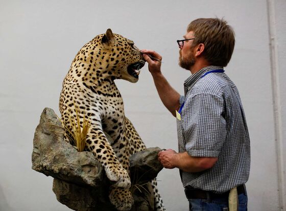 At the World Taxidermy and Fish Carving Competition