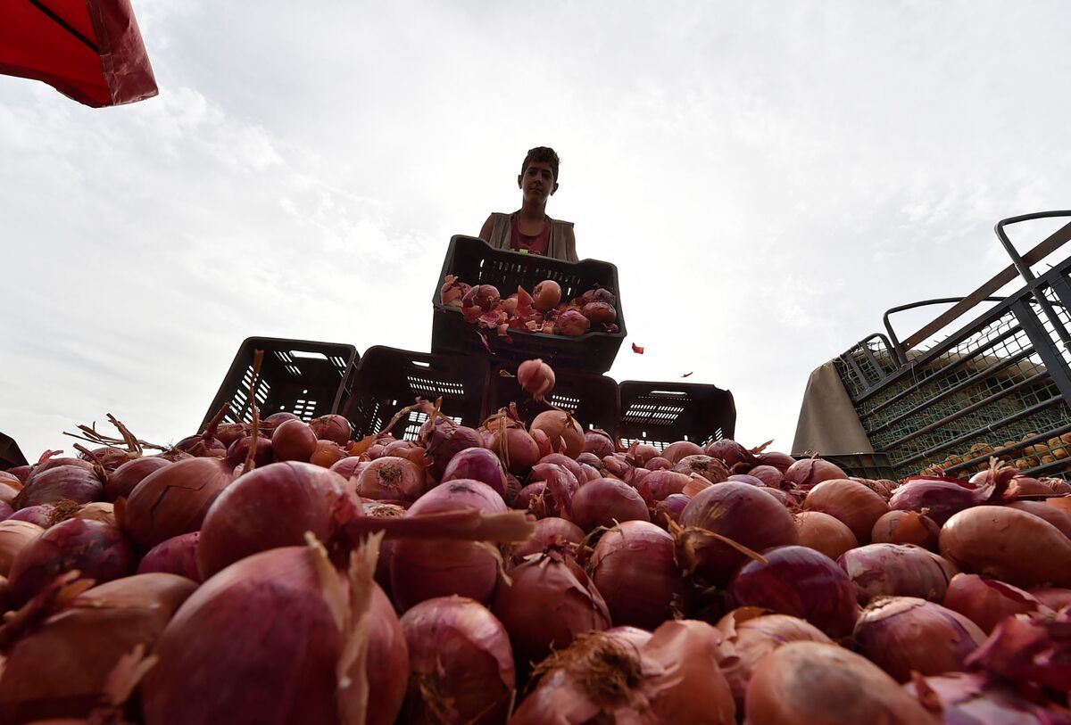 Onion Bag Meaning In English