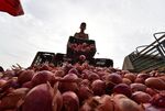 A worker unloads boxes of onions at an open market in Algiers, Algeria.&nbsp;