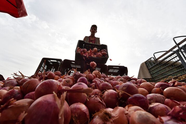 ALGERIA-ECONOMY-DAILY LIFE