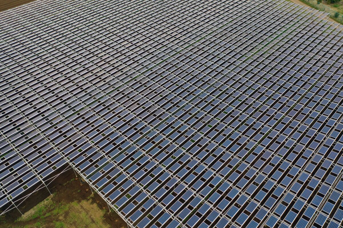 Solar Rises to 10% of Japan Power Generation in 2025, Ember Says