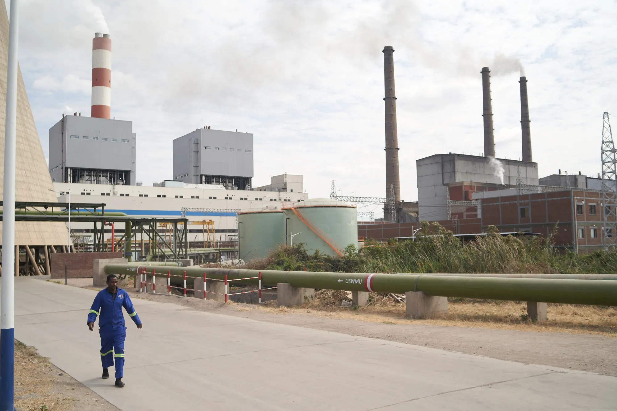 Zimbabwe Debuts Blockchain Registry for Carbon-Credit Trading - Bloomberg