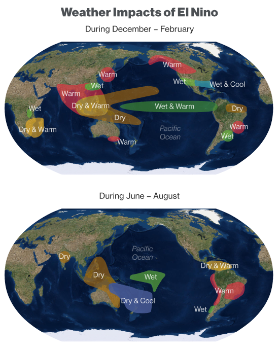 Championes de niño — Global Sports