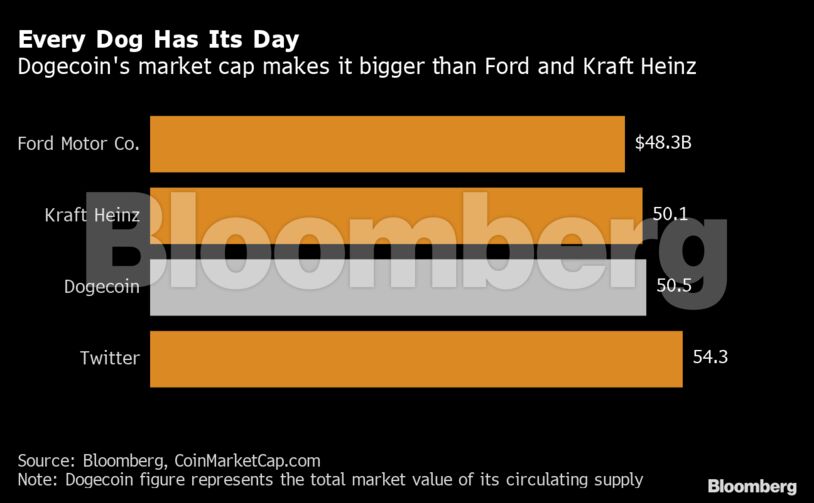 Every Dog Has Its Day