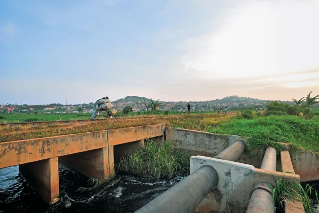 Kampala's Nakivubo Swamp provides as much as $2 million a year in purification services