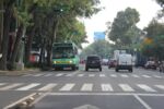 relates to Why Mexico City Has Counterflow Bus Lanes