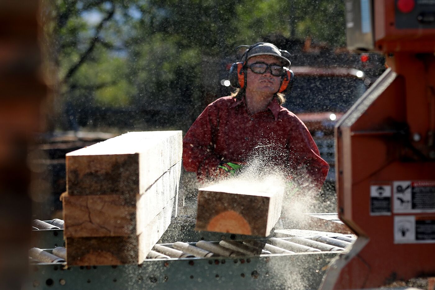 Montana Forests Struggle With Climate Change