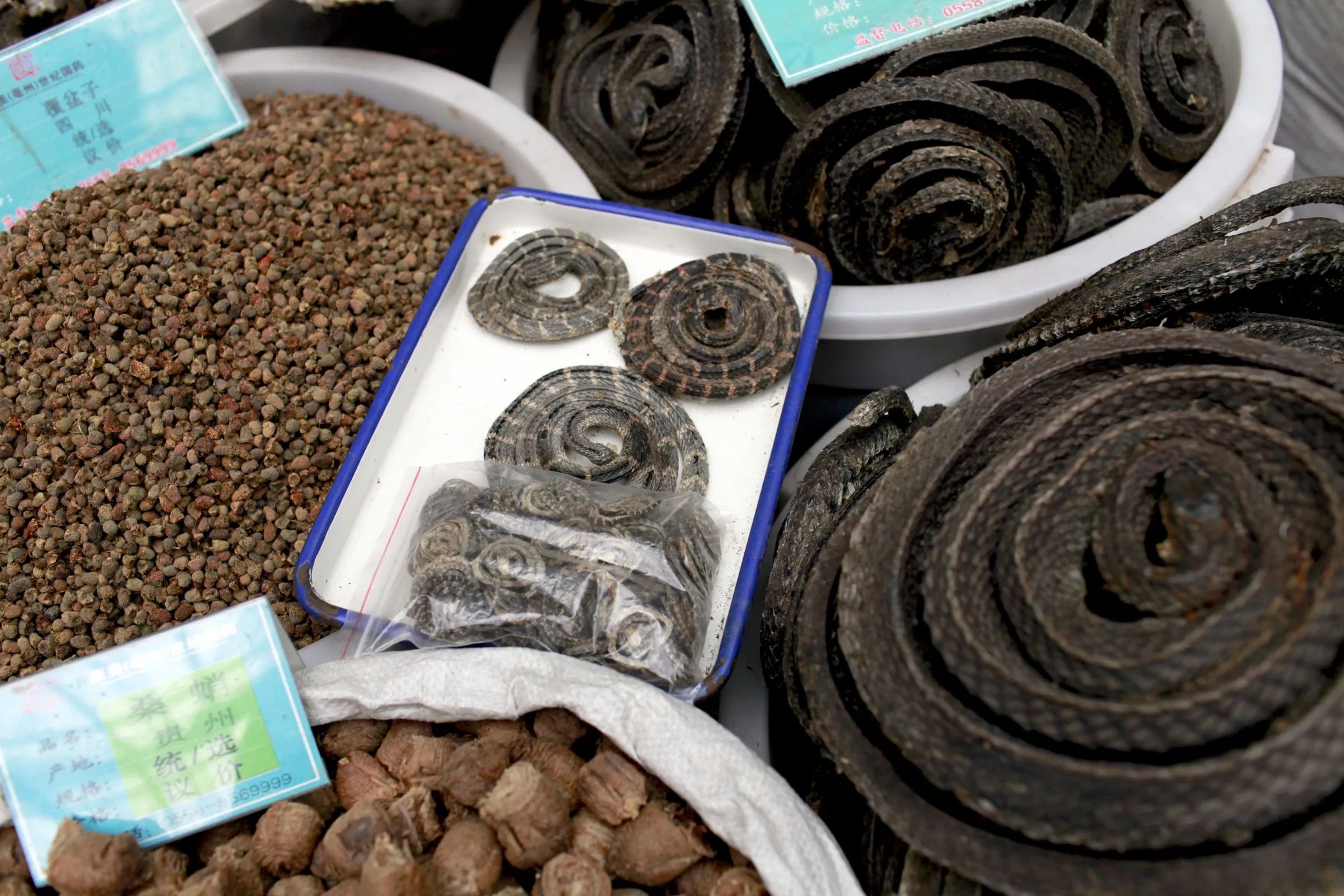 Coils of dried snakes at a market in Bozhou, Anhui Province.