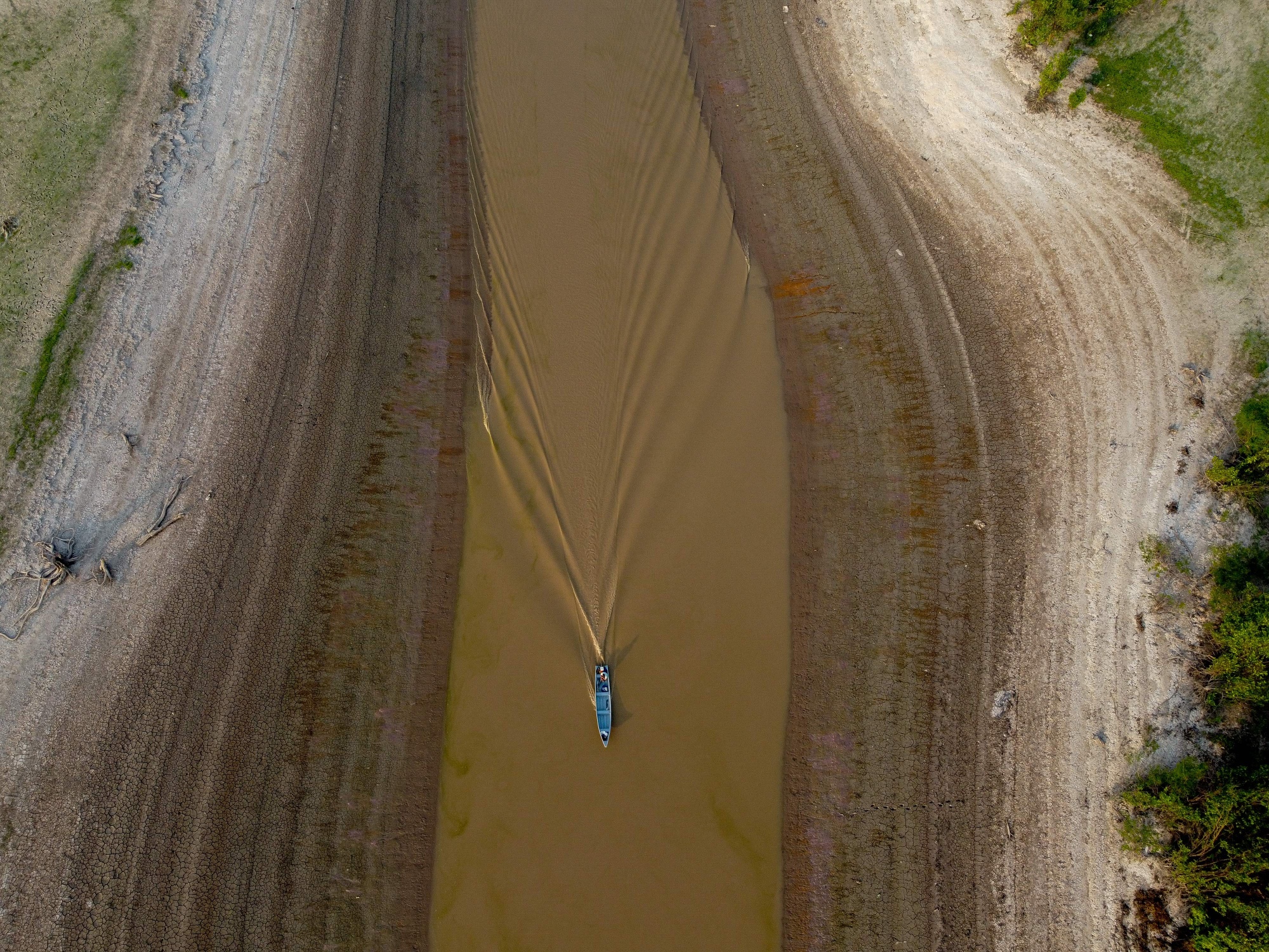 Clarice Couto on LinkedIn: Dry Weather in Key Crop Shipper Brazil