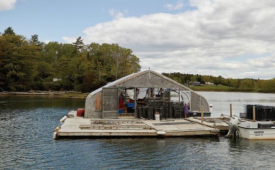 You Don’t Have to Go to Maine for the Perfect Lobster Roll This Summer