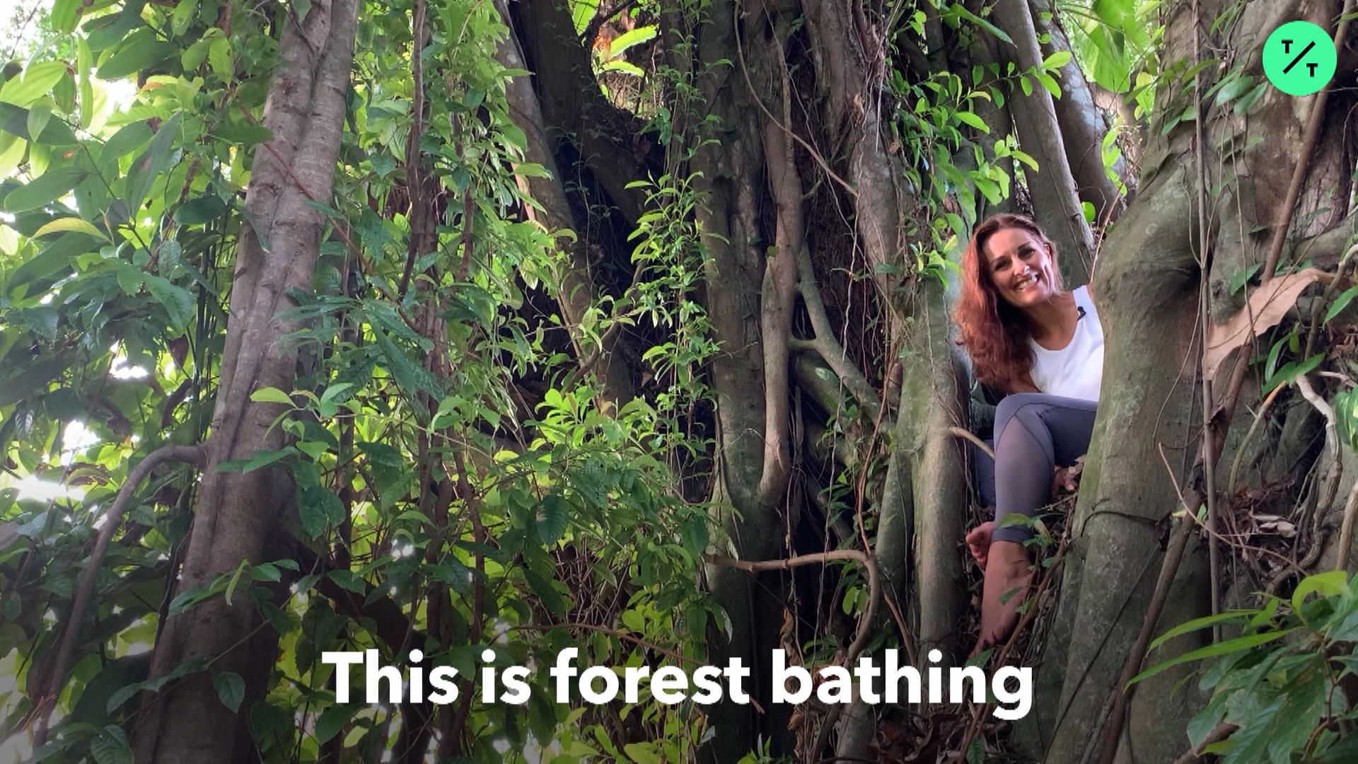 Watch Forest Bathing in the City - Bloomberg