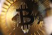 1513895357_shelley-bitcoingold