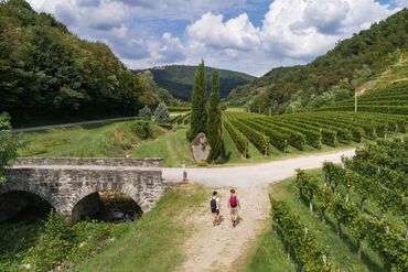 PURSUITS_WEB_Americans Walking Europe