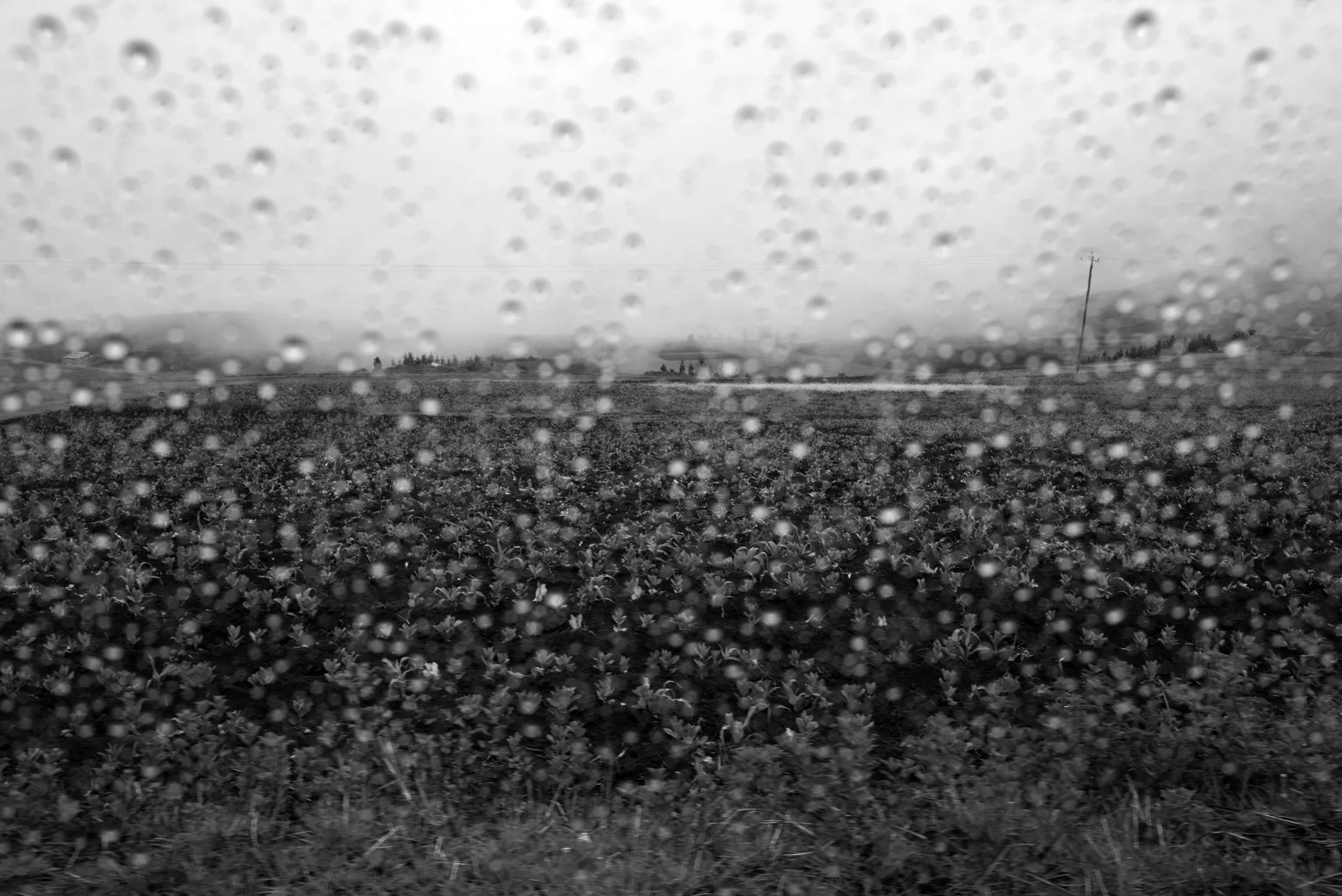 A black and white images of a field slightly obscured my rain on the camera lens.