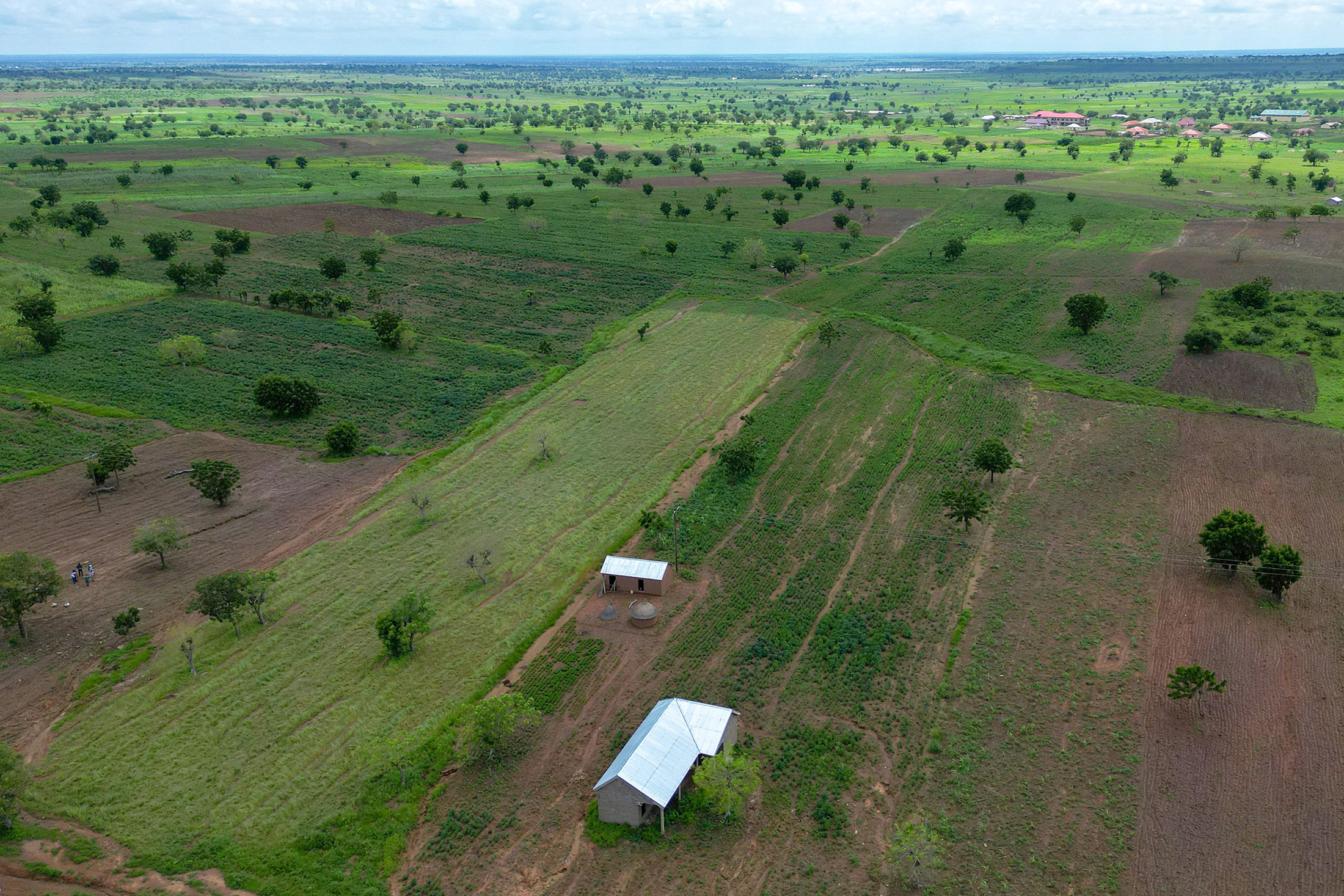 Fonio: The West African Grain You Should Pay Attention To