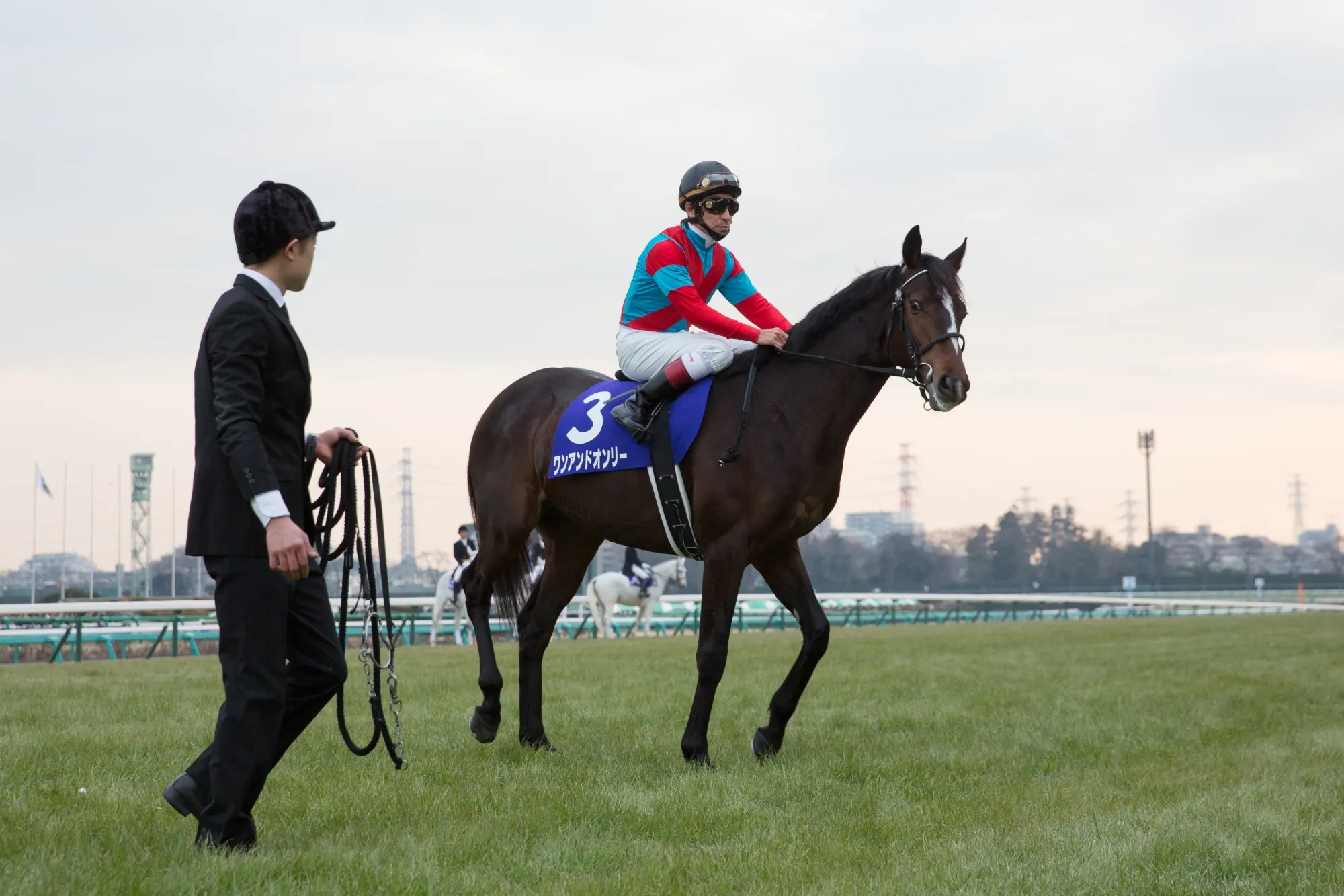 Jockey Norihiro Yokoyama riding One And Only at the Arima Kinen in 2014.
