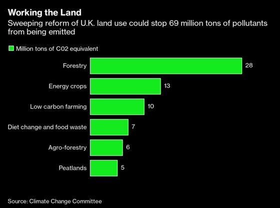 U.K. Has a Plan to Harness Its Land to Hit Net Zero Emissions