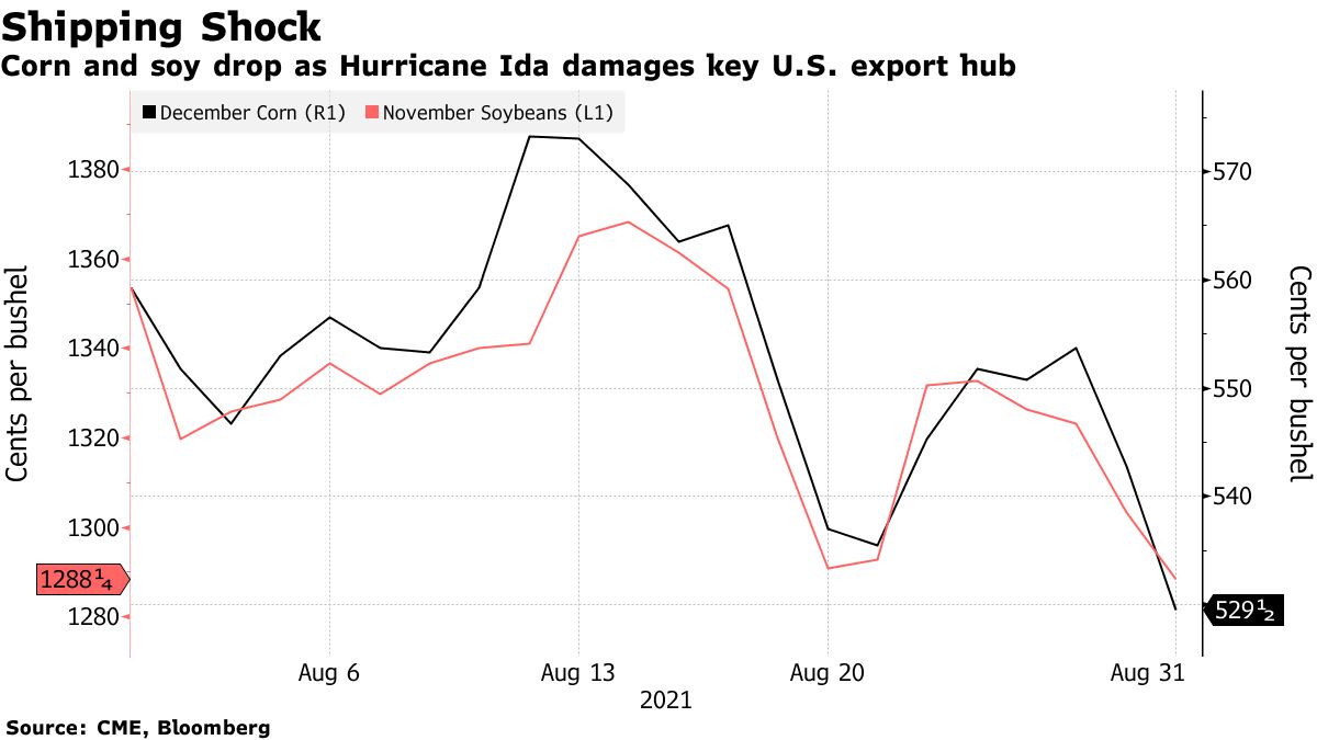 Corn and soy drop as Hurricane Ida damages key U.S. export hub