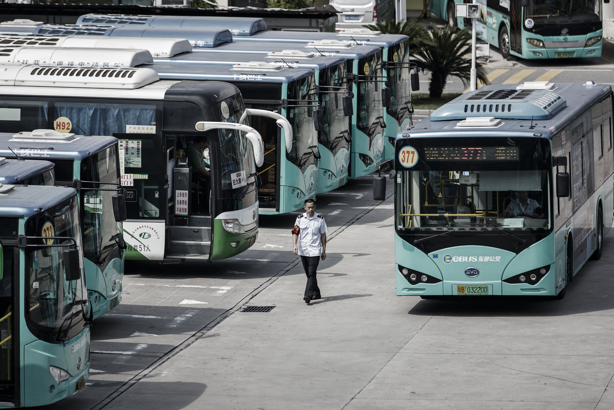 BYD electric buses at a public transportation hub in Shenzhen, China.