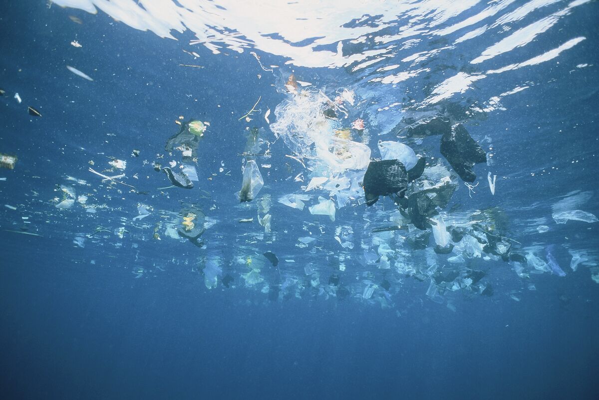 Dumped fishing gear is biggest plastic polluter in ocean, finds report, Pollution