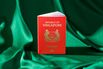 The World’s Most Powerful Passport Keeps a Hold on One Singaporean