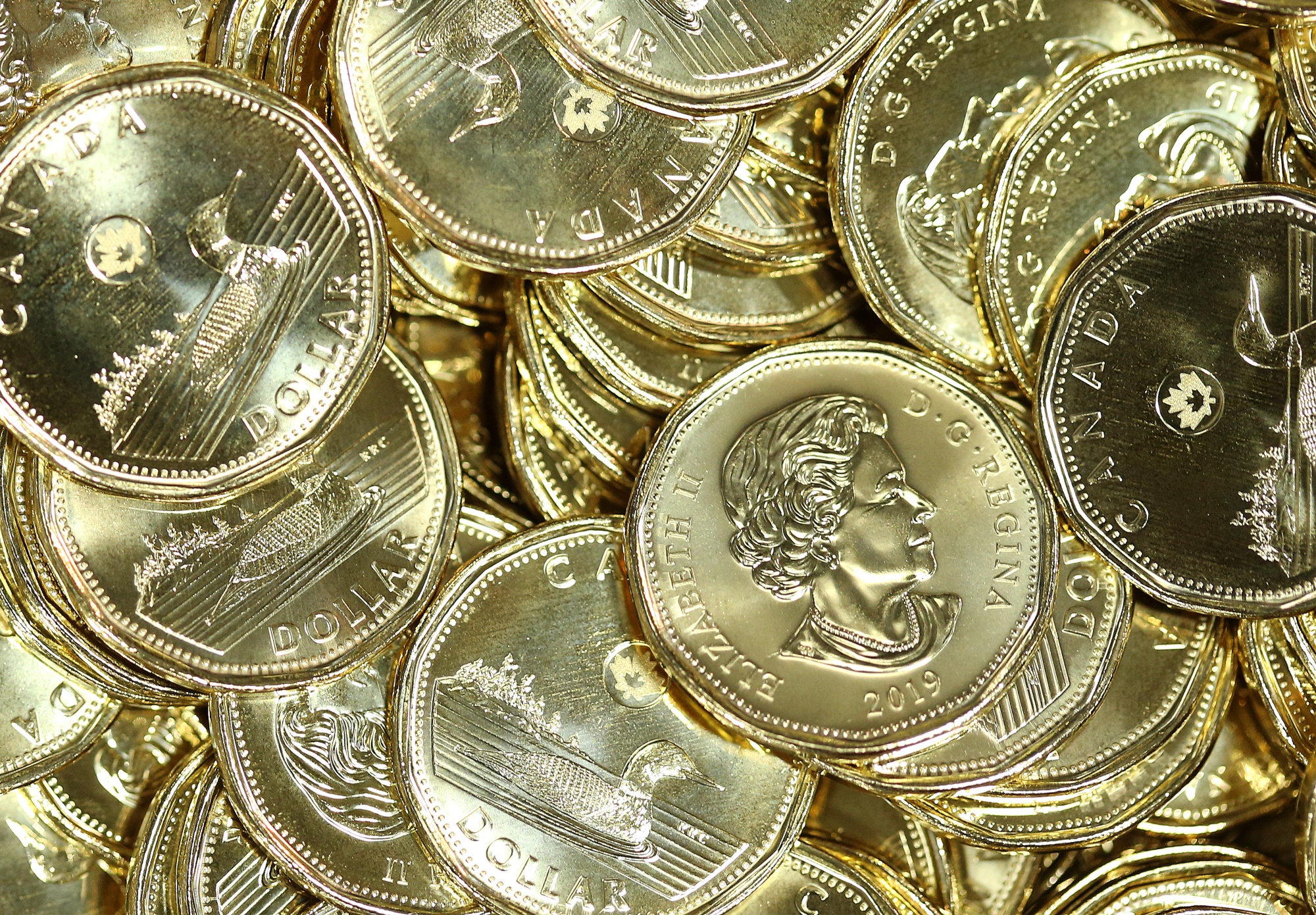 Why Canadian Dollar Called the Loonie