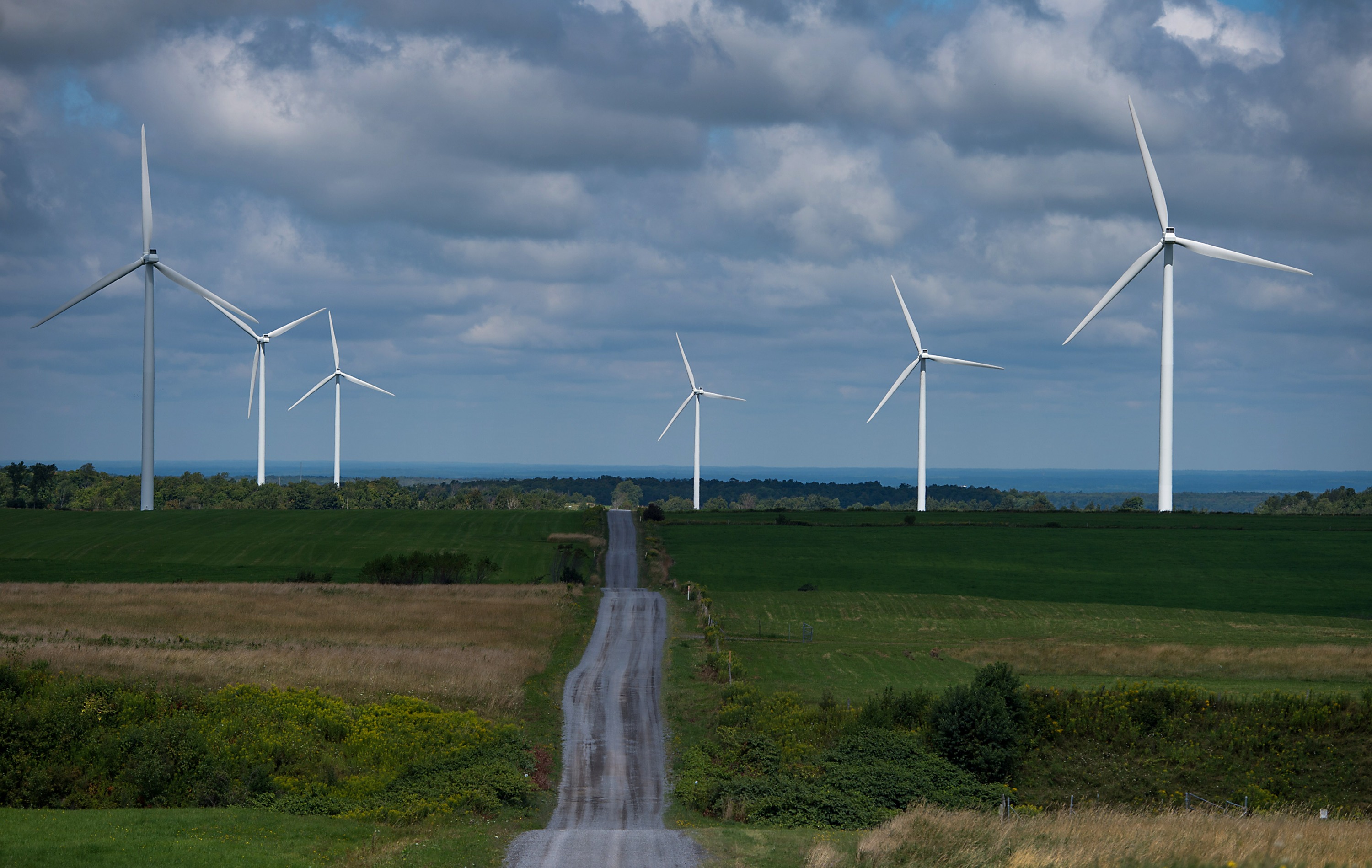 Maple Ridge Wind Farm As Vestas Turbine Orders Rise