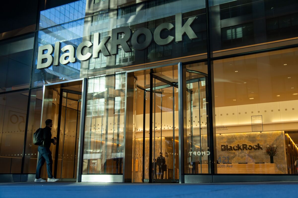 BlackRock Private Debt Fund Cuts Asset Value on Loan Markdowns