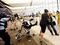 hong kong airport GETTY Sub