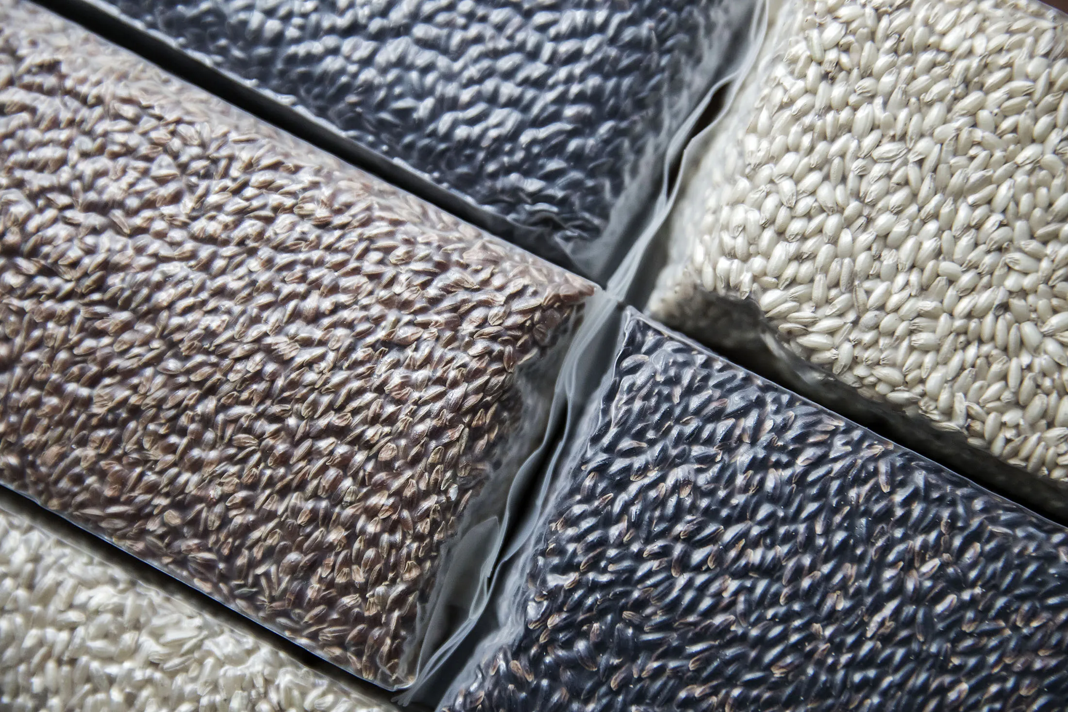 Samples of rice that Professor Li Jianyue of Shanghai Normal University has developed photographed in Shanghai, China, on Wednesday 10 May, 2017.
