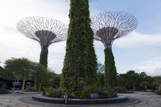 What It’s Like to Visit Singapore Right Now