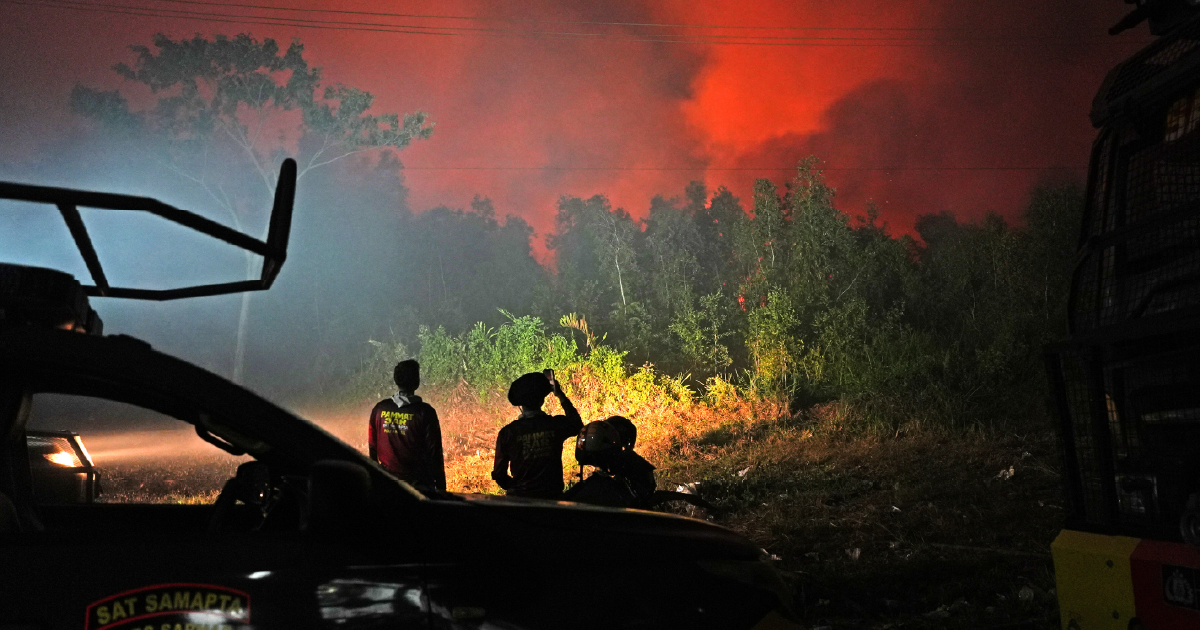 Indonesia’s Worst Wildfires in Years Tested by Prabowo Budget Cuts and El Niño