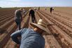 Immigration And Border Security Issues Loom Heavy In Upcoming U.S. Elections