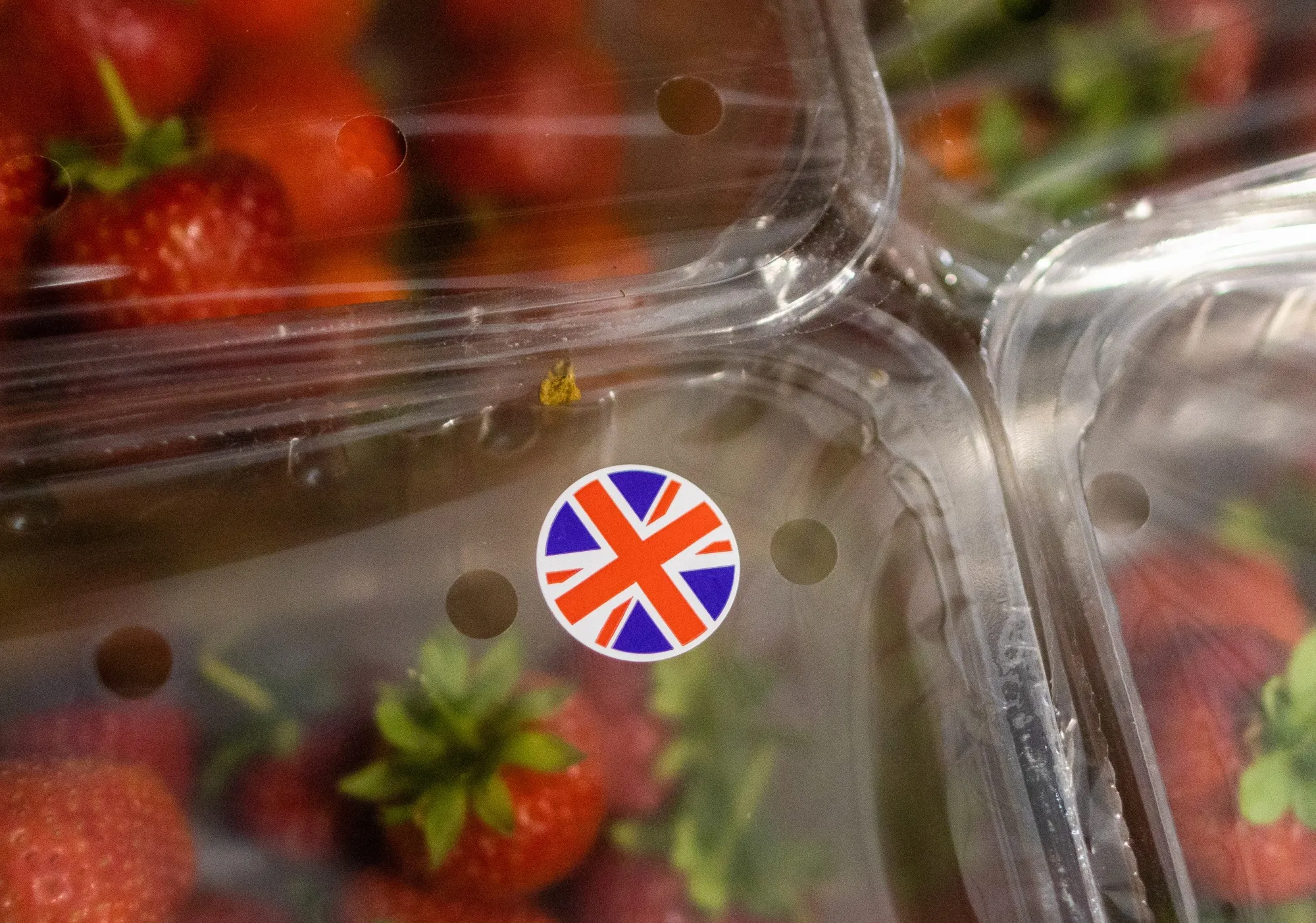 A British Union Flag sticker on&nbsp;strawberries near Maidstone, UK.&nbsp;