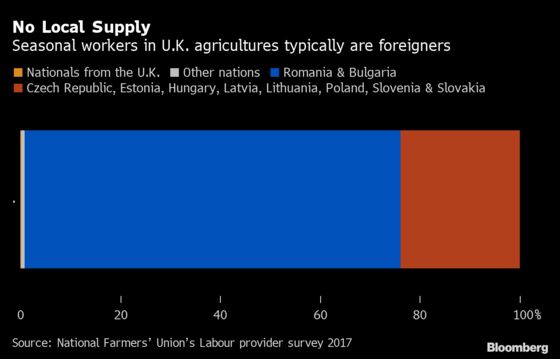 U.K. Farmers to Test Fruit-Picking Robots Amid Labor Shortage