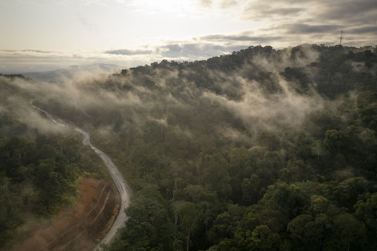 Africa’s Congo Basin, Vital to Earth’s Climate, Is Critically Understudied