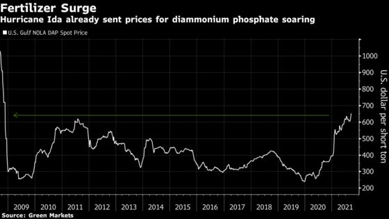 Energy Crunch Hits Pig Slaughter and Fertilizers in Risk to Food