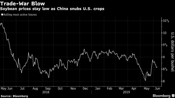 With China Absent, U.S. Farmers Pitch Soy to Other Asian Buyers
