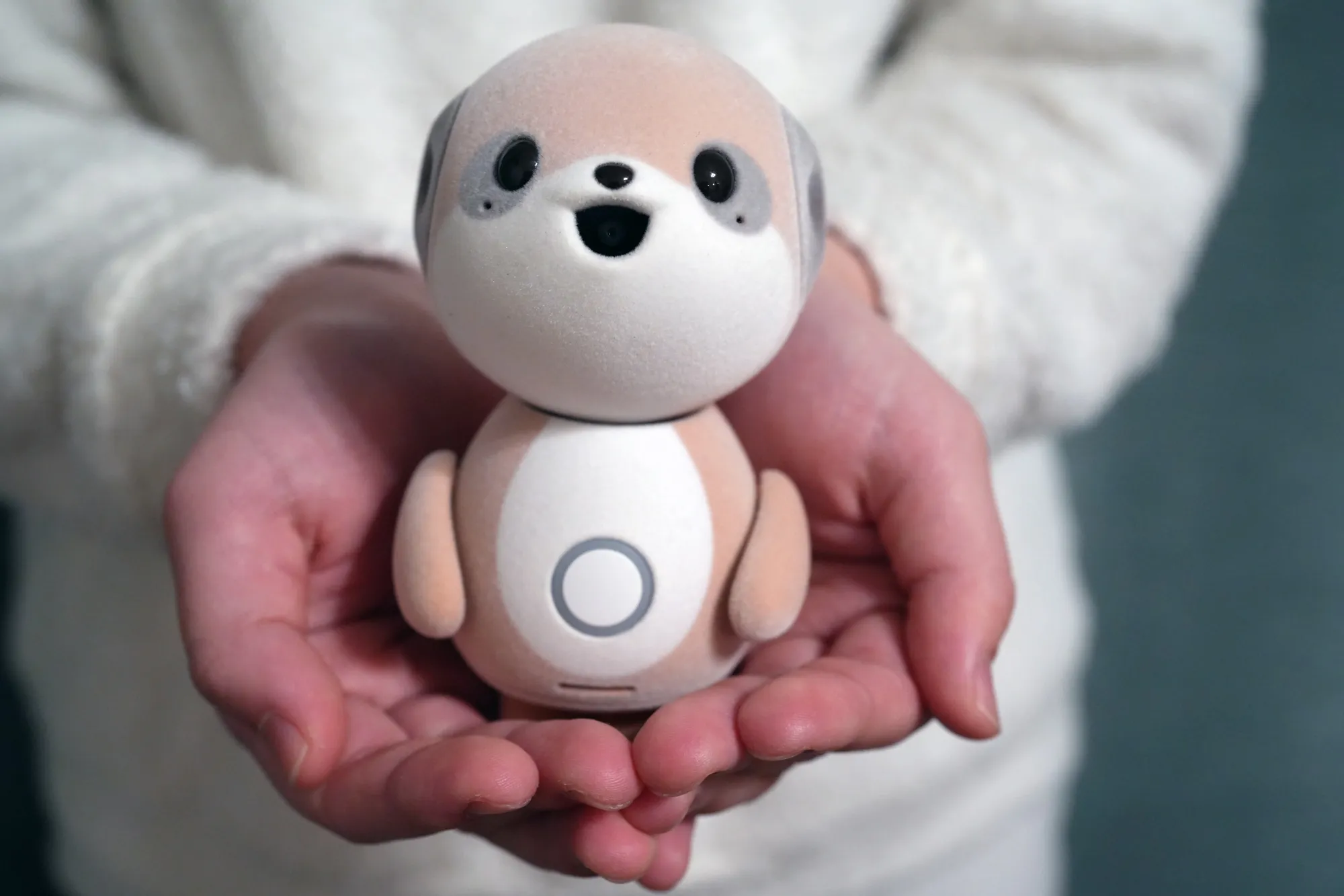 Sharp Poketomo Review: Fluffy, Lovable, Pricey and Dorky - Bloomberg