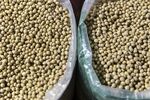 Soybean Sales at a Wholesale Grain Market