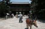 A deer and visitors in front of the Todai-ji temple in Nara, Japan, on Monday, June 19, 2023.